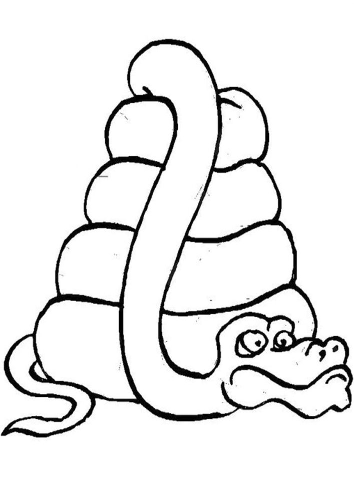 Free & Easy To Print Snake Coloring Pages Tulamama