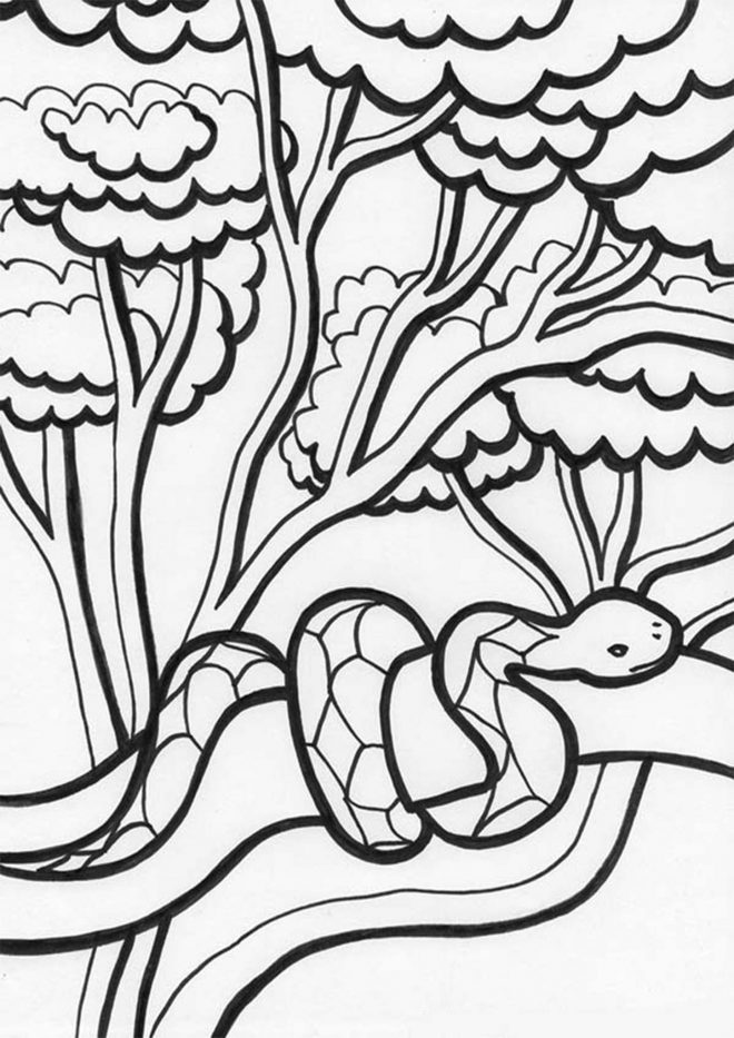 Free & Easy To Print Snake Coloring Pages - Tulamama