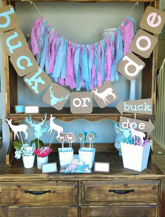 Gender Reveal Decorations To Inspire You - Tulamama