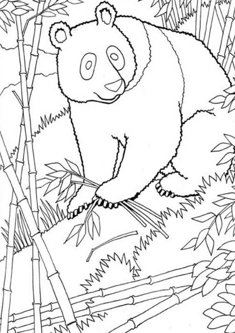 Free & Easy To Print Panda Coloring Pages - Tulamama