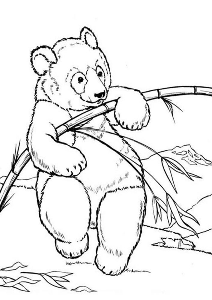 Free & Easy To Print Panda Coloring Pages - Tulamama