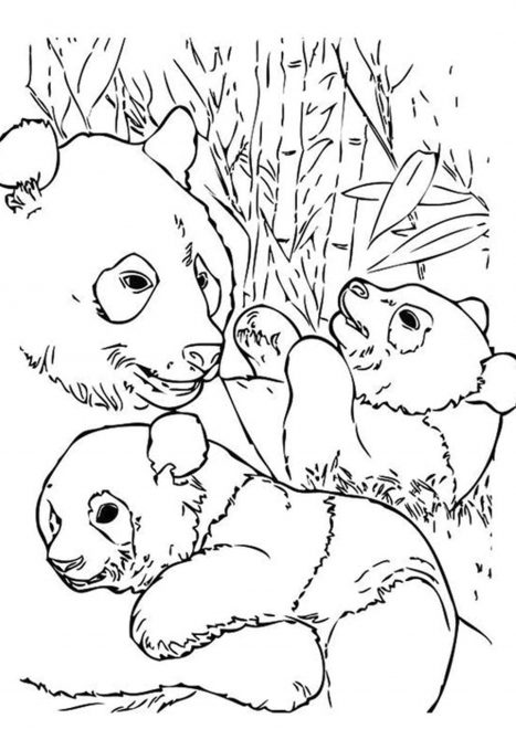 Free & Easy To Print Panda Coloring Pages - Tulamama