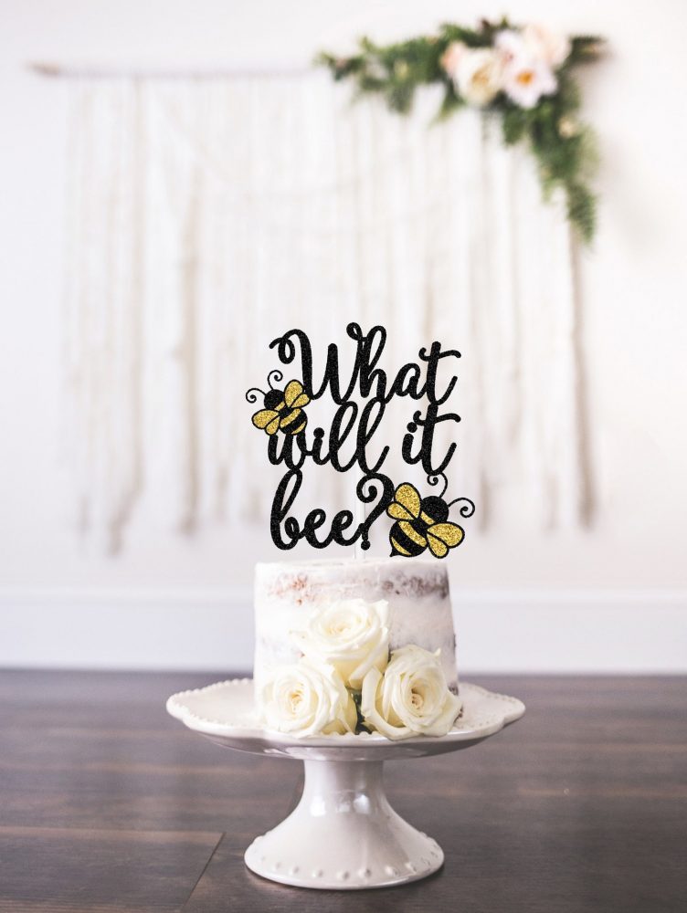 what will it bee gender reveal theme