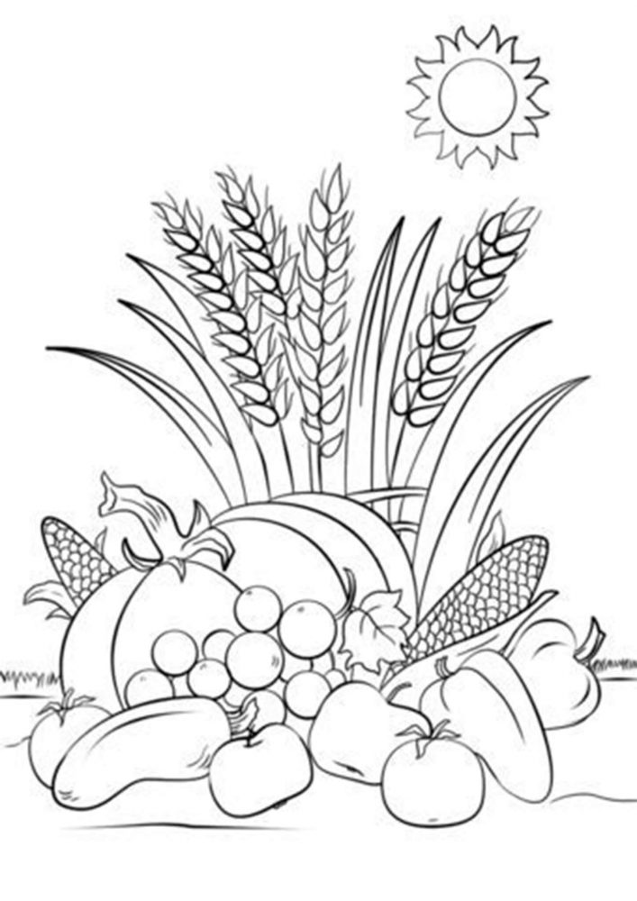 Fun Thanksgiving coloring pages for your little one. They are free and easy to print. The collection is varied with different skill levels