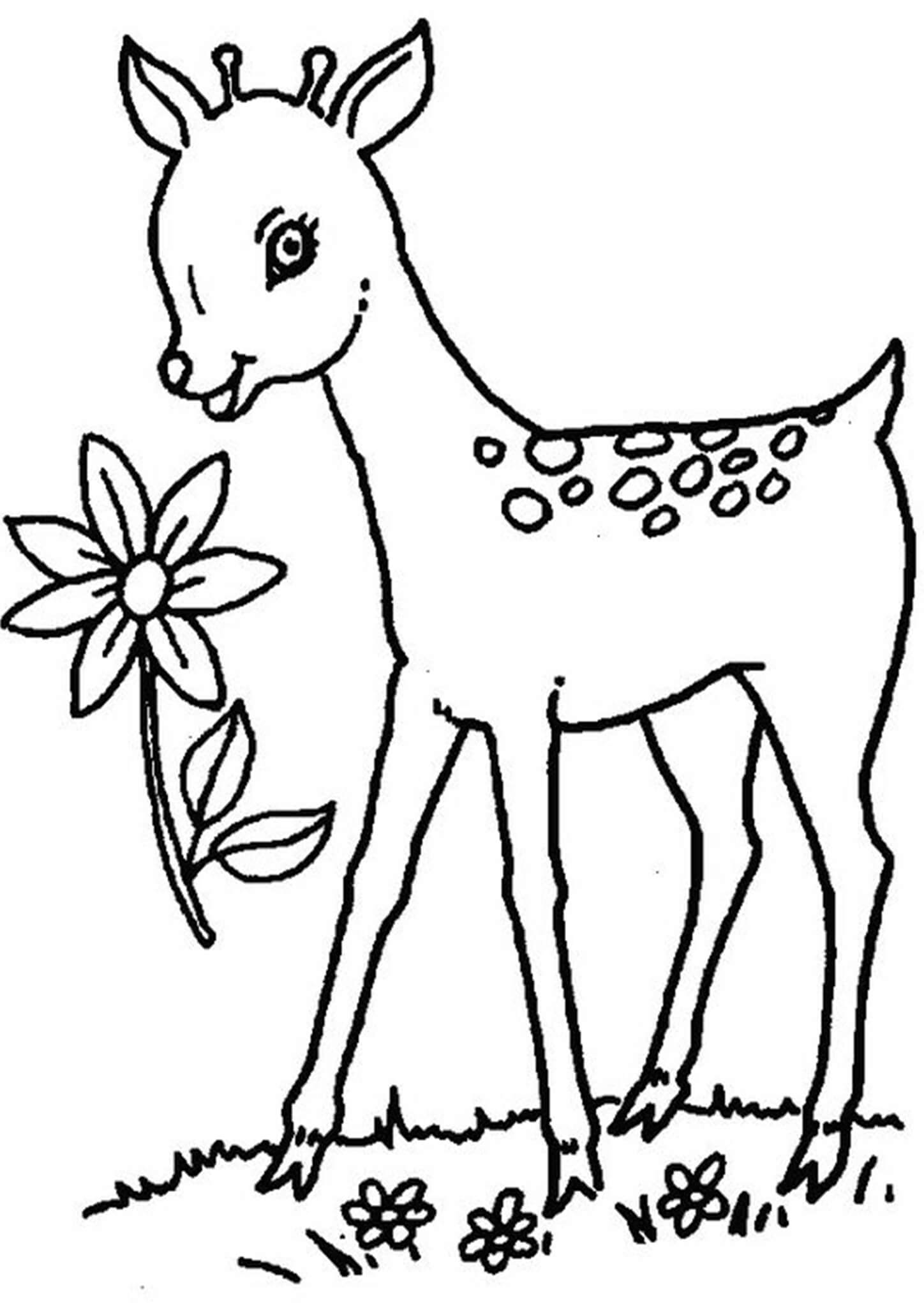 Printable Deer Coloring Pages For Kids