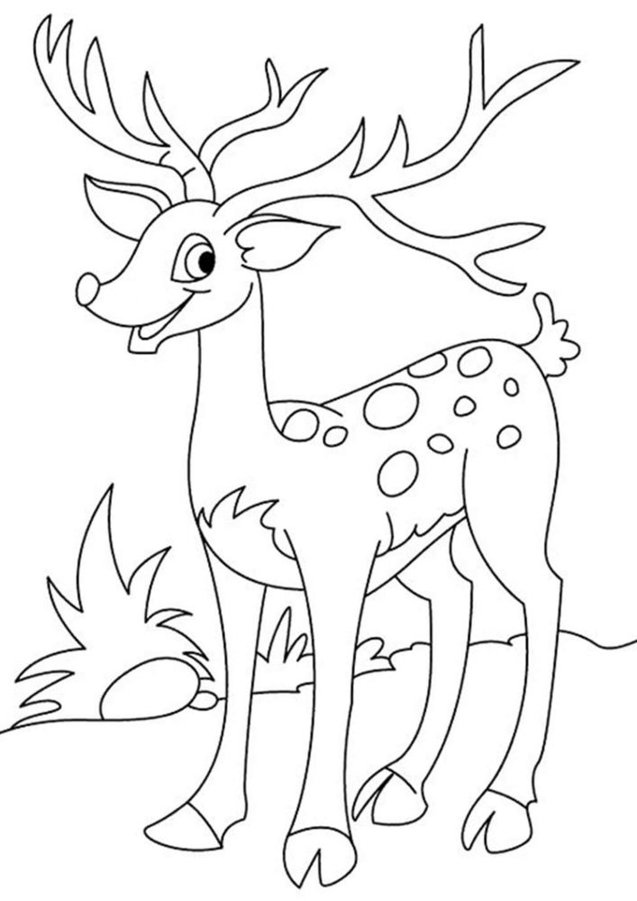 Free & Easy To Print Deer Coloring Pages - Tulamama