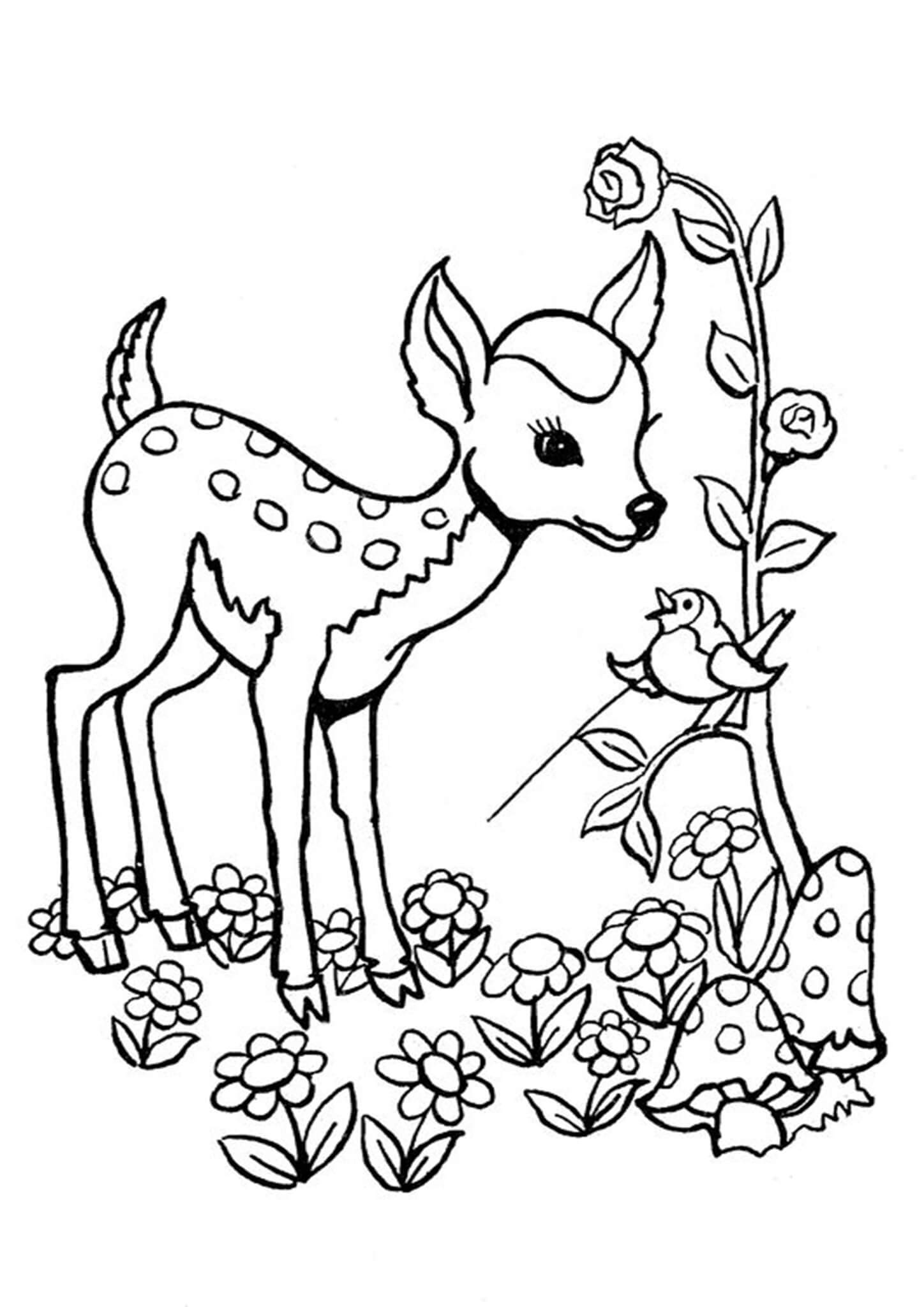 Deer Printable Coloring Pages Printable Templates