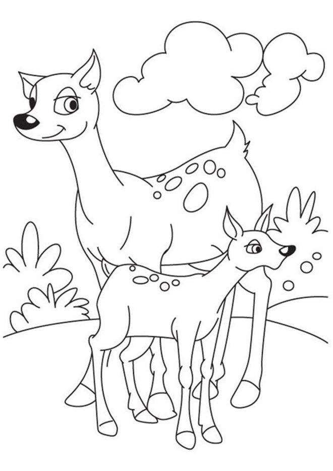 Free & Easy To Print Deer Coloring Pages - Tulamama