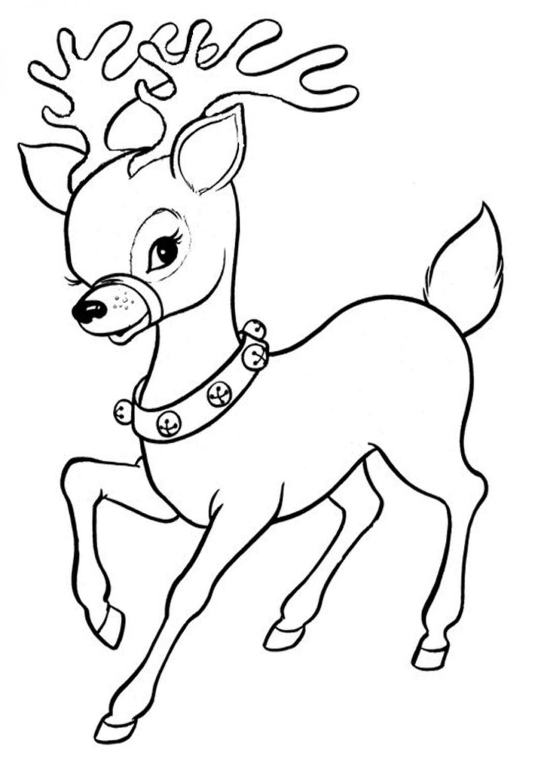 Free Printable Reindeer Coloring Pages Tulamama