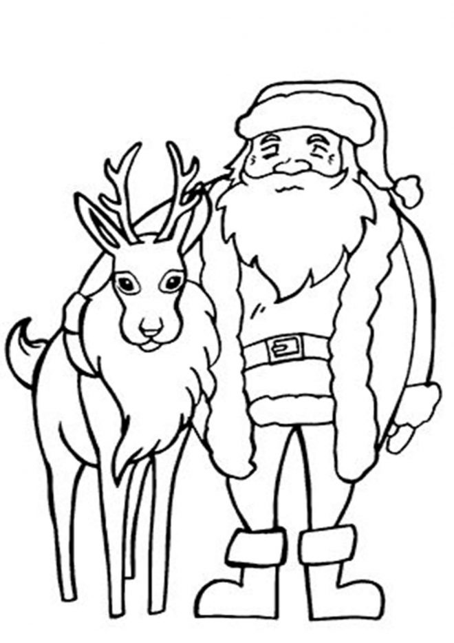 Free Printable Reindeer Coloring Pages - Tulamama