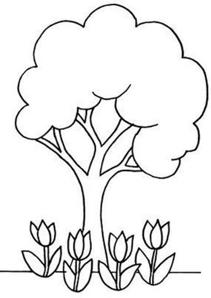 coloring pages of tree