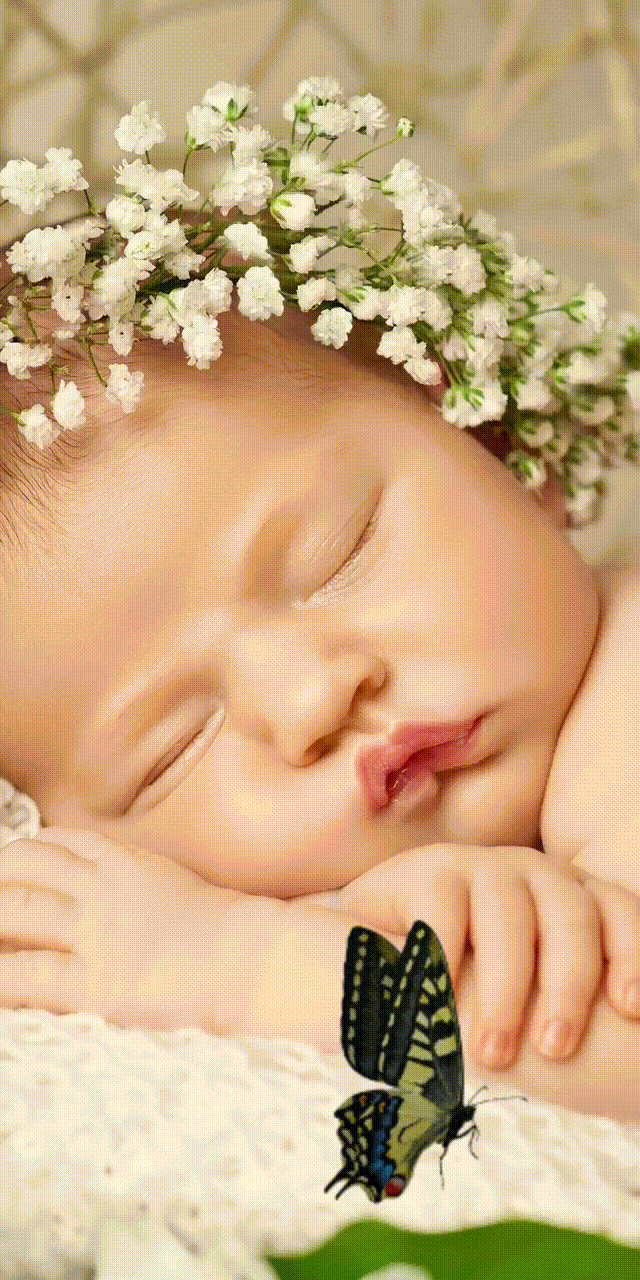 comprehensive collection of the best flower names