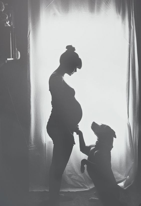 Pregnancy Photoshoot Ideas You Can Actually Use - Tulamama