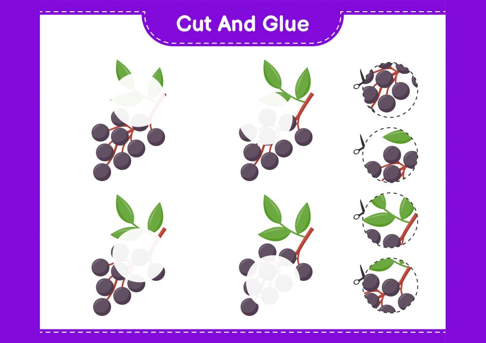 Cut and Paste Worksheet