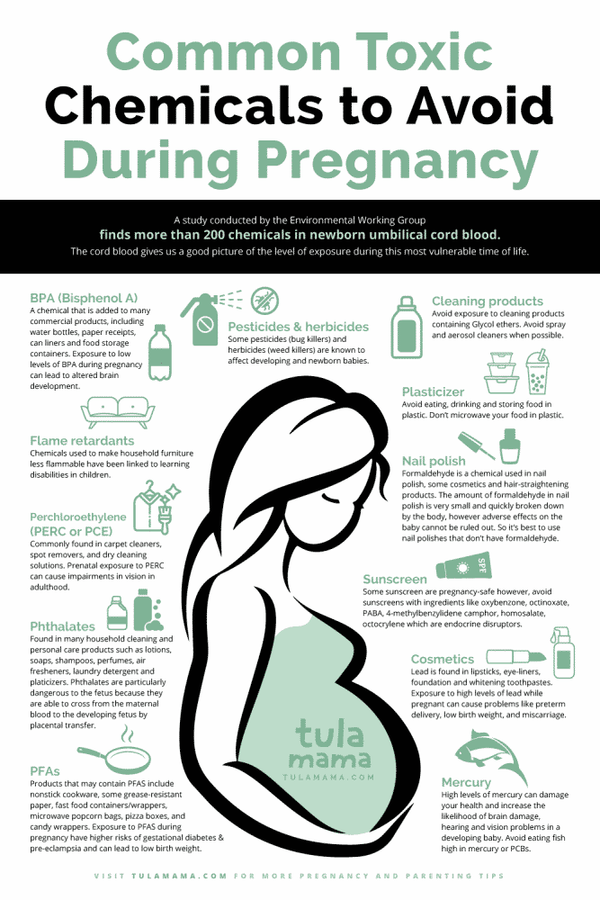 Toxic Chemicals To Avoid During Pregnancy Tulamama