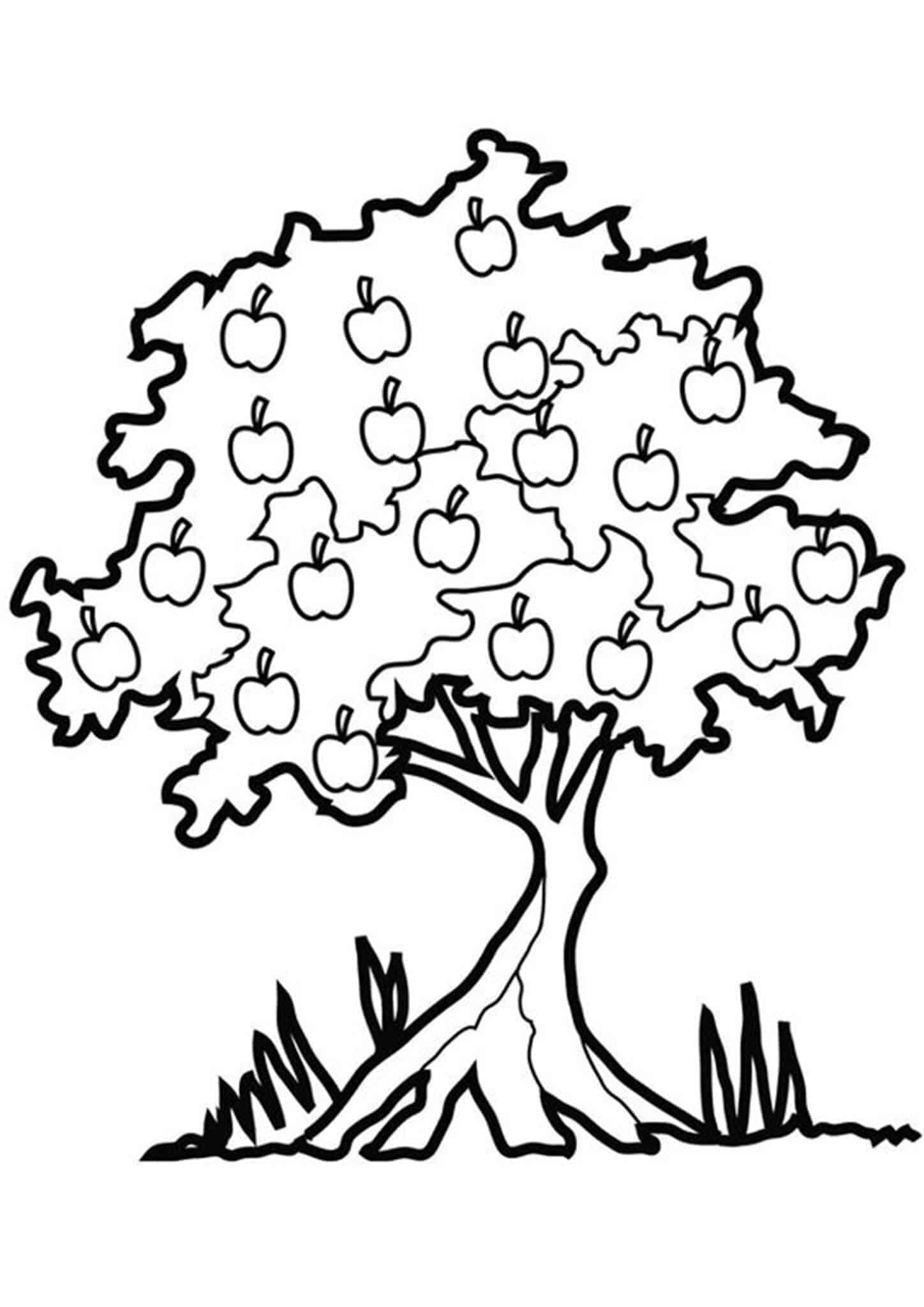 Free & Easy To Print Apple Coloring Pages - Tulamama