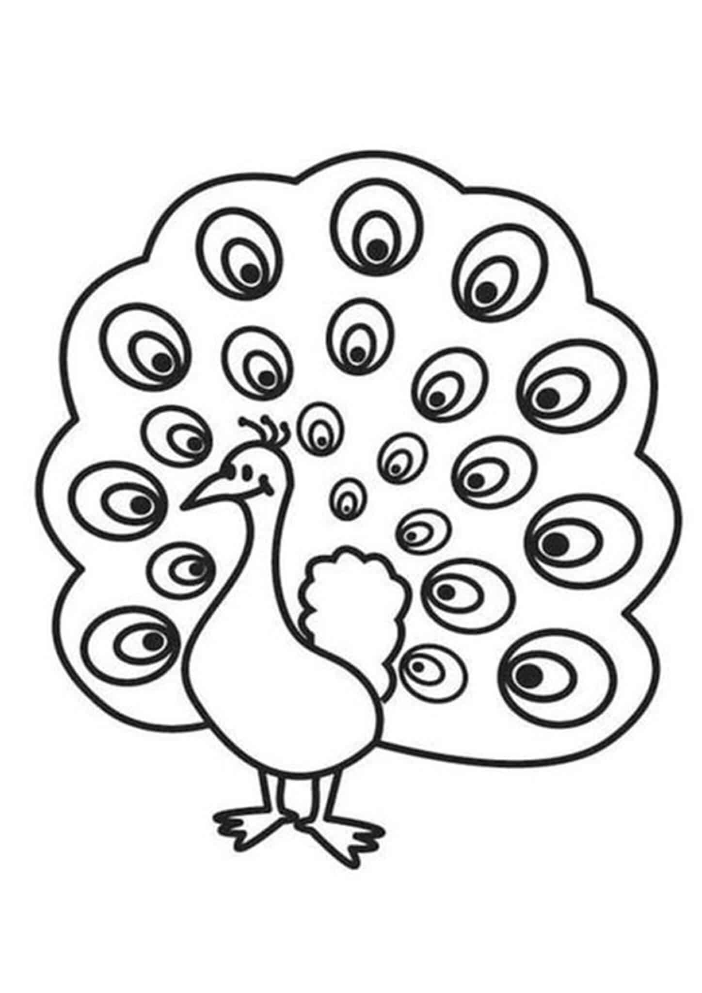 Free & Easy To Print Peacock Coloring Pages - Tulamama