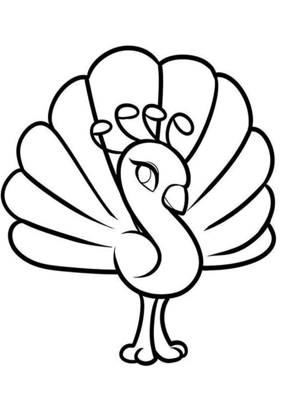 Free Easy To Print Peacock Coloring Pages Tulamama