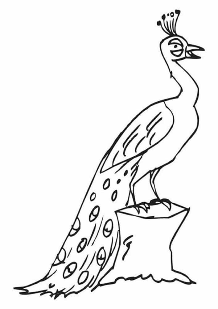 Fun Peacock coloring pages for your little one. They are free and easy to print. The collection is varied with different skill levels