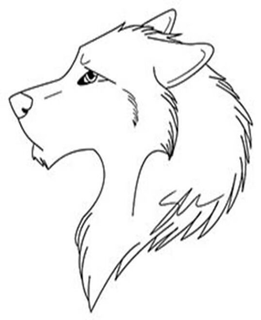 Free & Easy To Print Wolf Coloring Pages - Tulamama