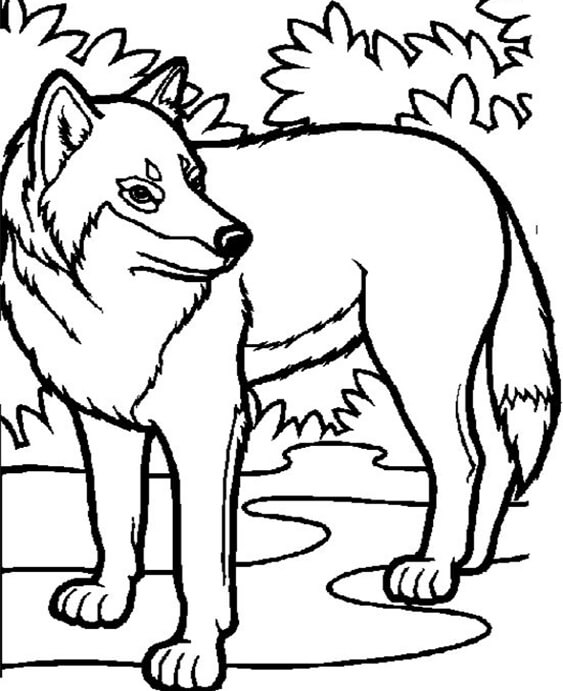 Free & Easy To Print Wolf Coloring Pages - Tulamama