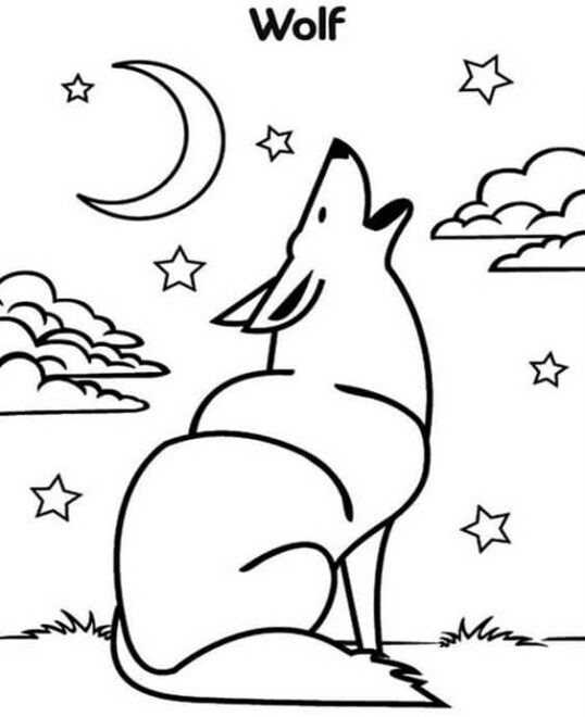 Free & Easy To Print Wolf Coloring Pages - Tulamama