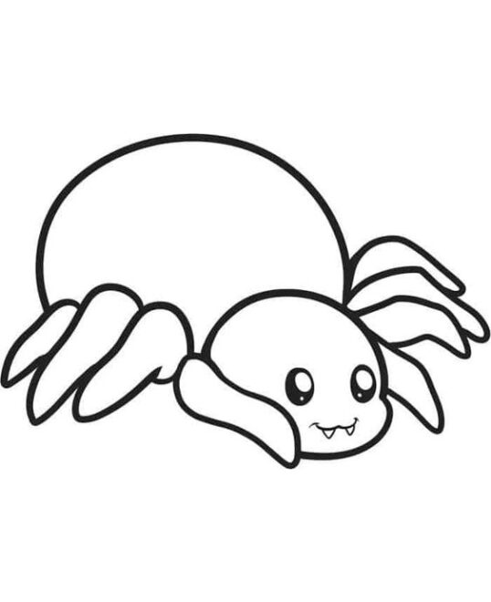 Free & Easy To Print Spider Coloring Pages - Tulamama