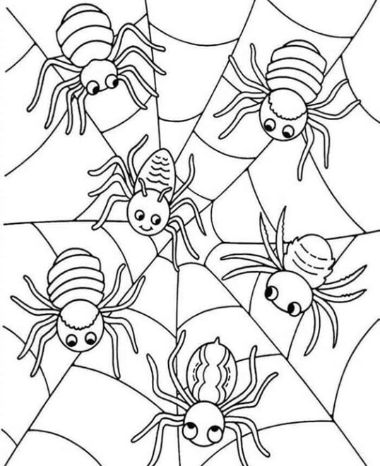 Free & Easy To Print Spider Coloring Pages - Tulamama