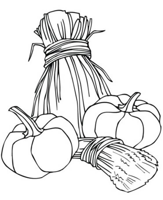 Fun Pumpkin coloring pages for your little one. They are free and easy to print. The collection is varied with different skill levels