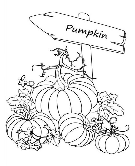 Free & Easy To Print Stitch Coloring Pages