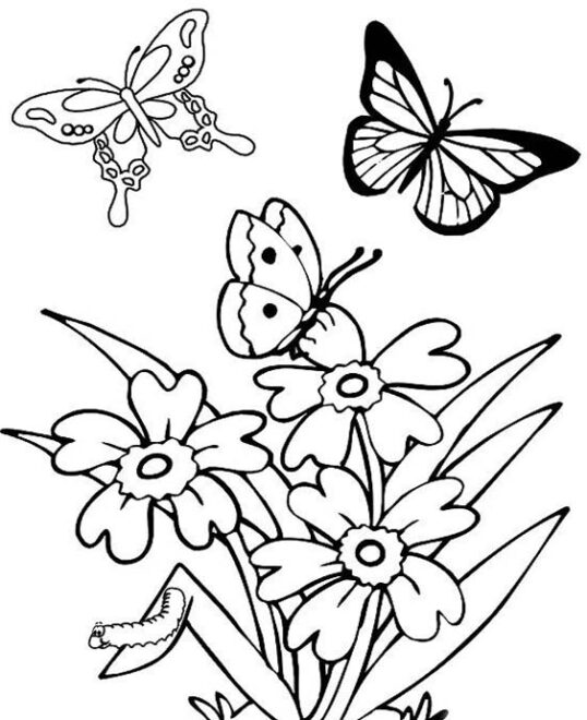 Free & Easy To Print Spring Coloring Pages - Tulamama