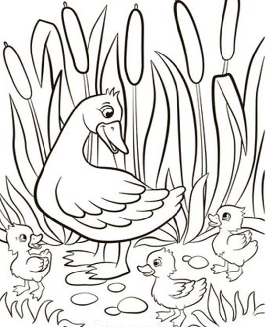 Free & Easy To Print Spring Coloring Pages - Tulamama