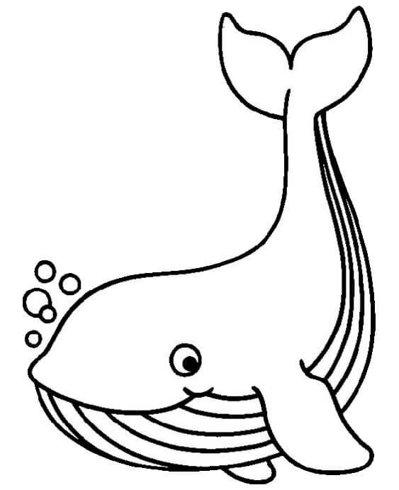 Fun Whale coloring pages for your little one. They're free and easy to print. The collection is varied for different skill levels and...