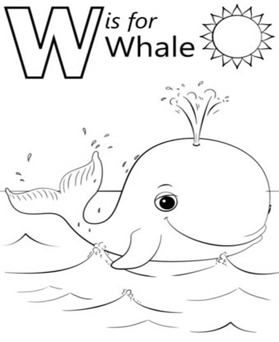 whalle coloring pages