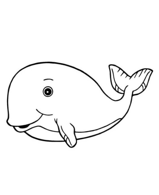 Free & Easy To Print Whale Coloring Pages - Tulamama