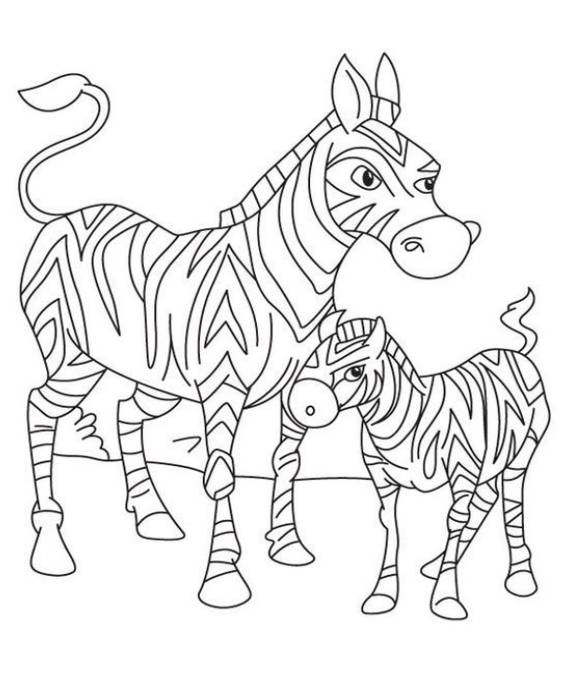 free easy to print zebra coloring pages tulamama