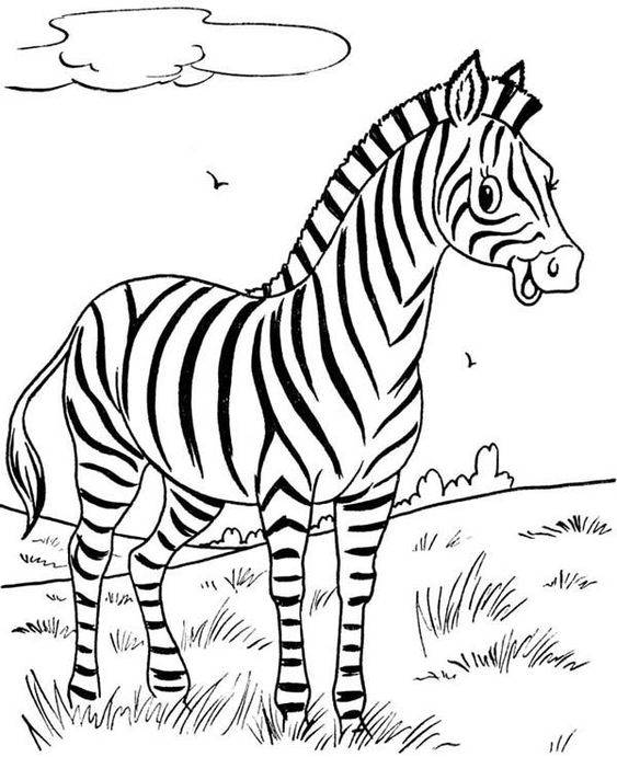 free easy to print zebra coloring pages tulamama