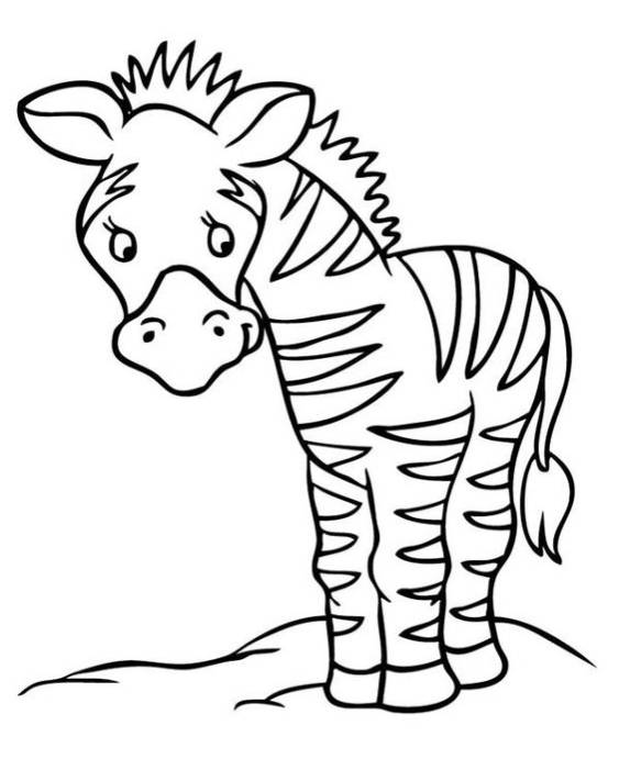 Free & Easy To Print Zebra Coloring Pages - Tulamama