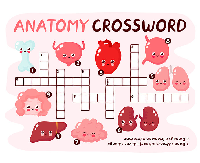 crossword puzzles for kids