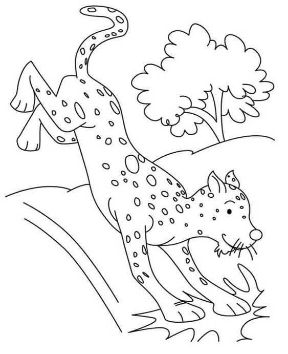 Free & Easy To Print Cheetah Coloring Pages - Tulamama