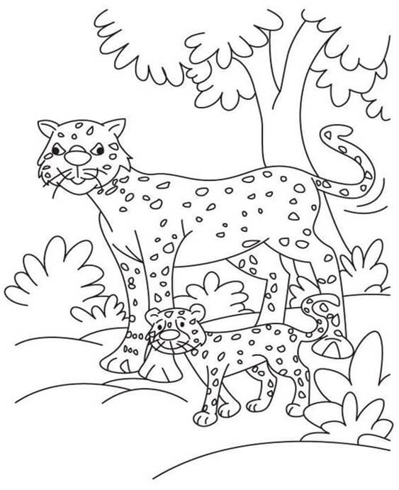 printable cheetah coloring pages