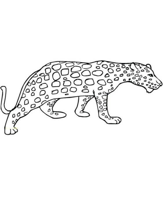 Fun cheetah coloring pages for your little one. They're free and easy to print. The collection is varied for different skill levels and...
