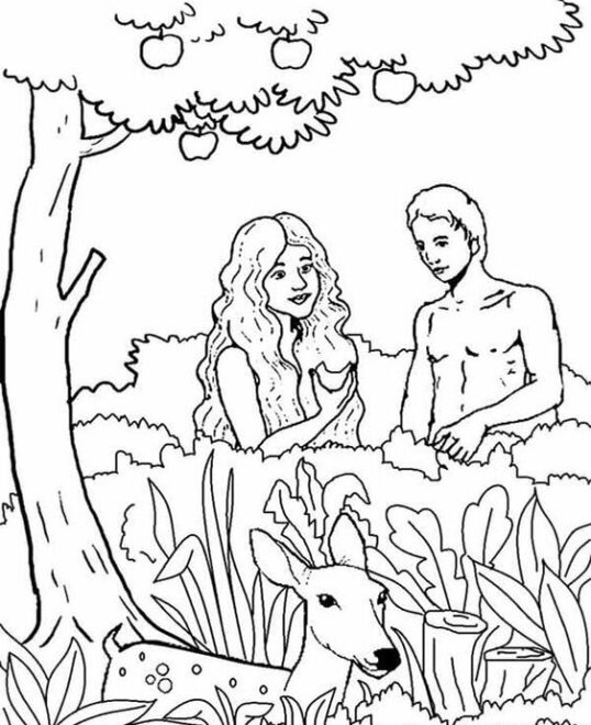 Free & Easy To Print Creation Coloring Pages - Tulamama