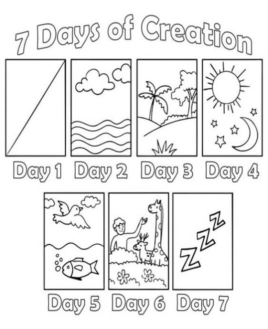 Free & Easy To Print Creation Coloring Pages - Tulamama