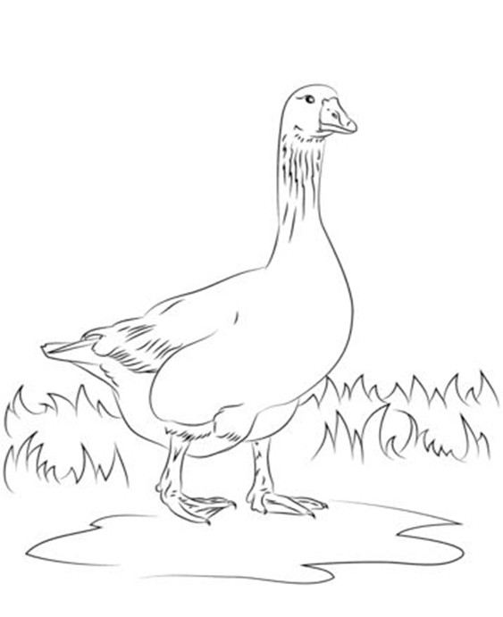 Fun farm animal coloring pages for your little one. They're free and easy to print. The collection is varied for different skill levels and..
