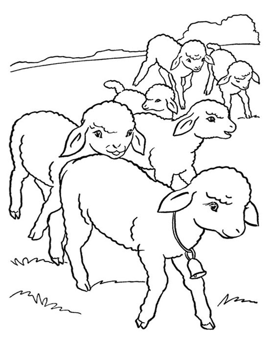 Fun farm animal coloring pages for your little one. They're free and easy to print. The collection is varied for different skill levels and..