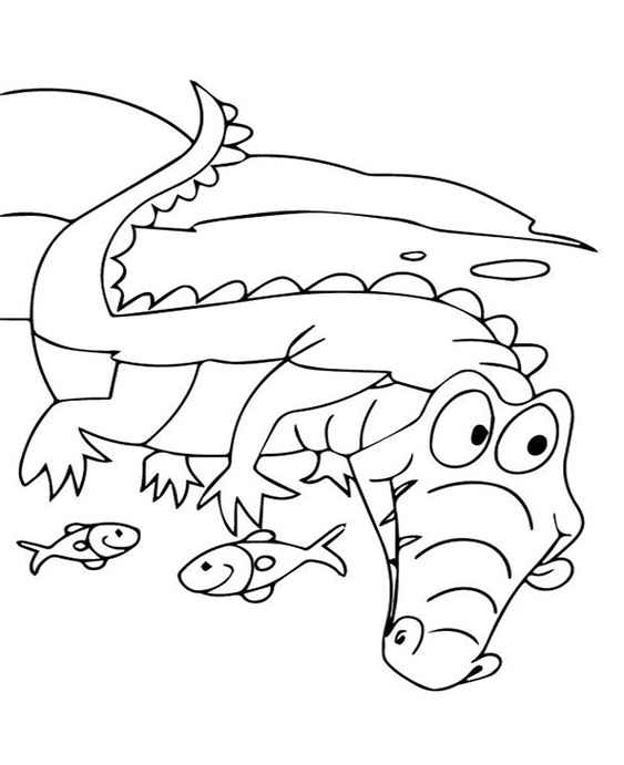 Free & Easy To Print Alligator Coloring Pages - Tulamama