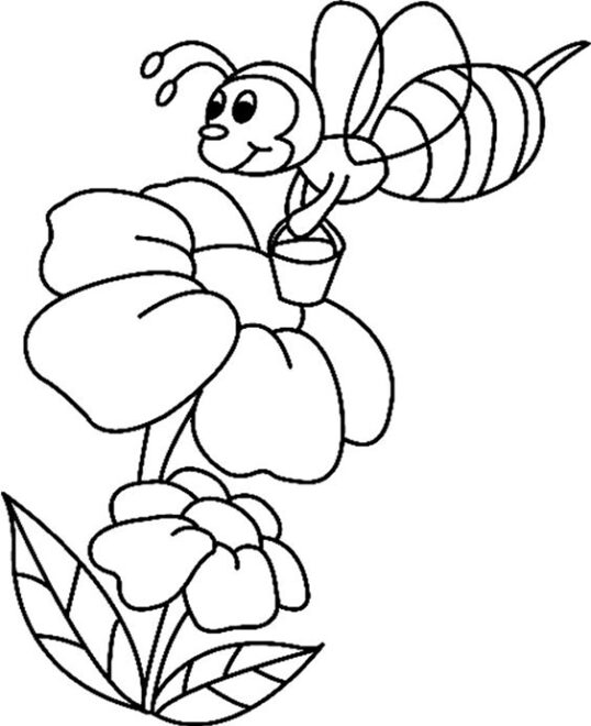 Free & Easy To Print Bee Coloring Pages - Tulamama