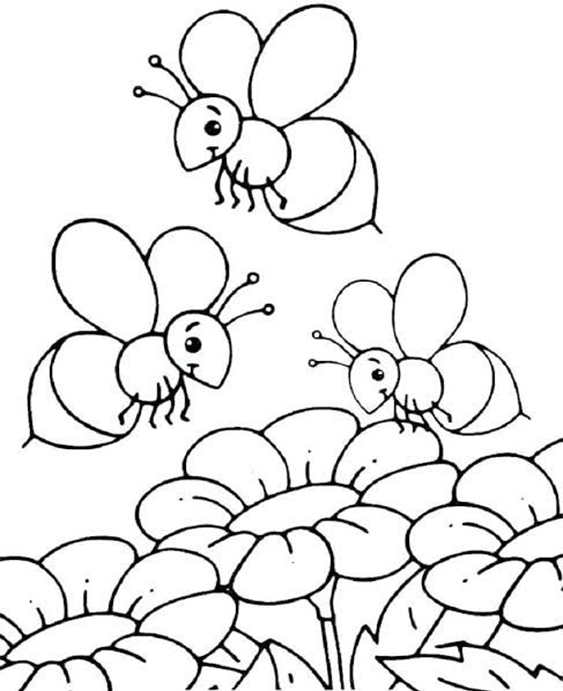 FREE! - Bees and Flowers Birthday Card Colouring Activity