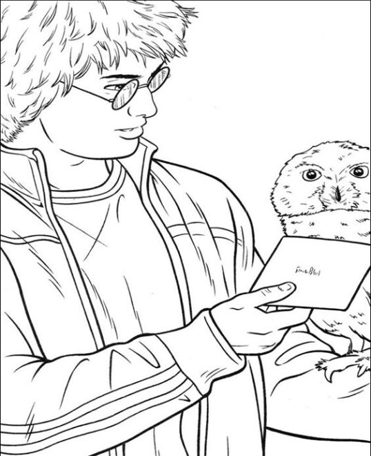 Free & Easy To Print Harry Potter Coloring Pages - Tulamama